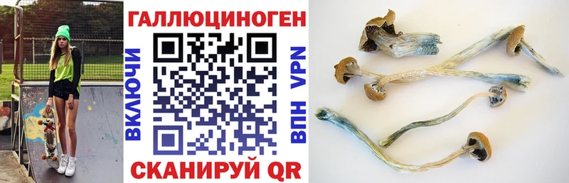 продажа наркотиков  Киреевск  Галлюциногенные грибы ЛСД 