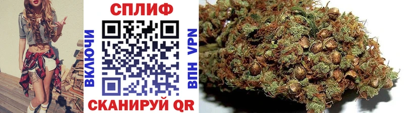 Каннабис тримм  Киреевск 